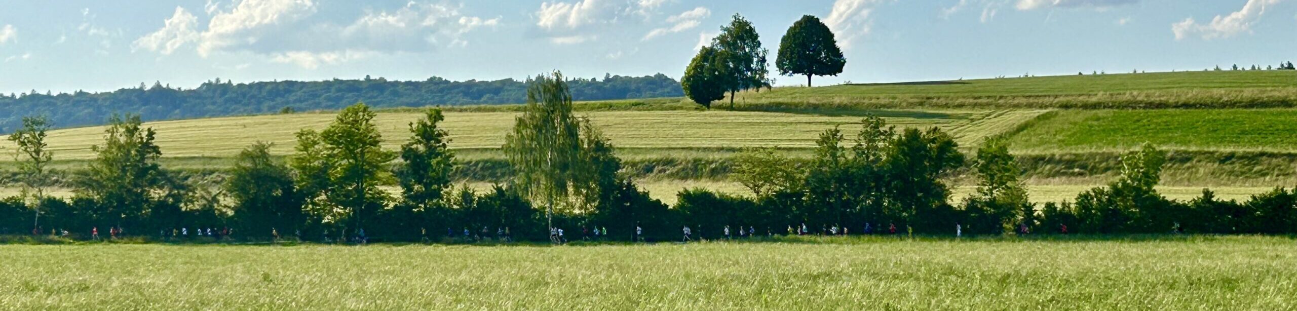 Geglückte Abendlauf-Premiere