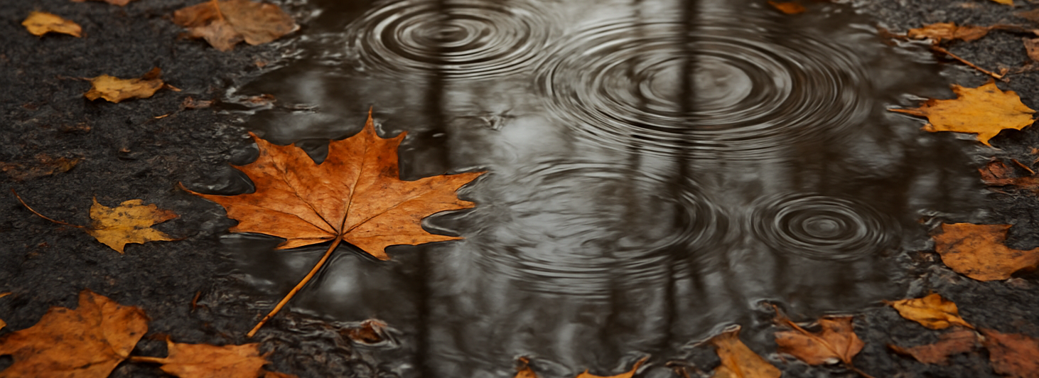 Ziemlich feucht am Herbstlauf in Wil