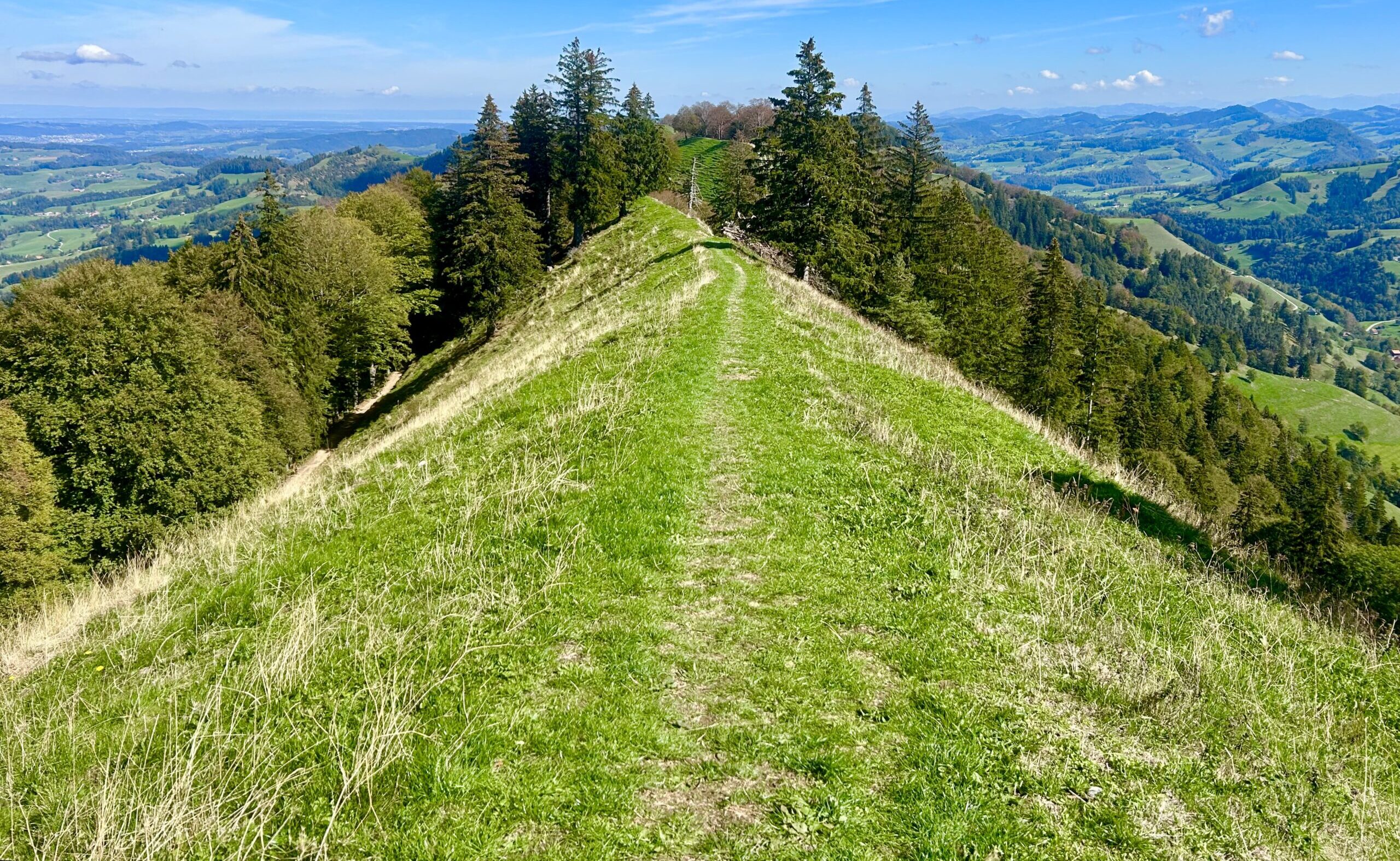 10. Schnebelhorn-Panoramatrail: Mit Teppichklopfer und Bergspezialisten